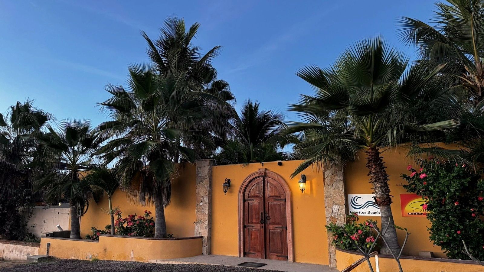 A yellow-washed courtyard wall and carved door beneath tall palms
