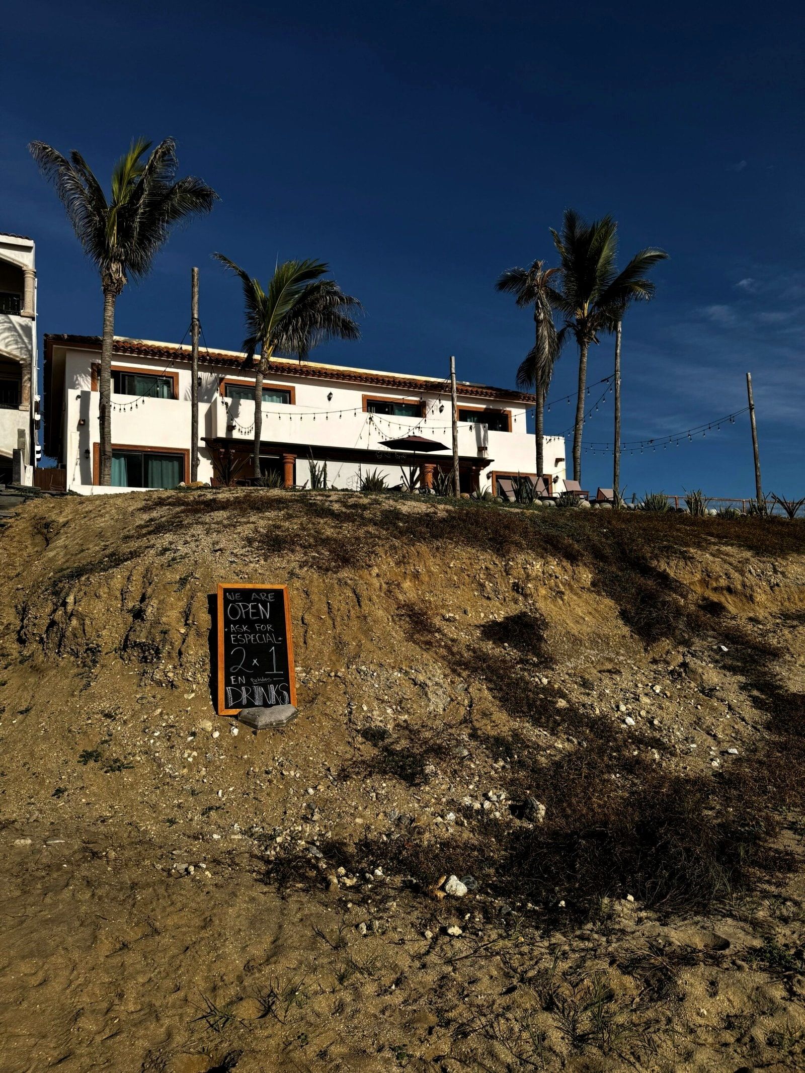 The white facade of The Cerritos Beach Inn seen from the beach, palms leaning over the sand